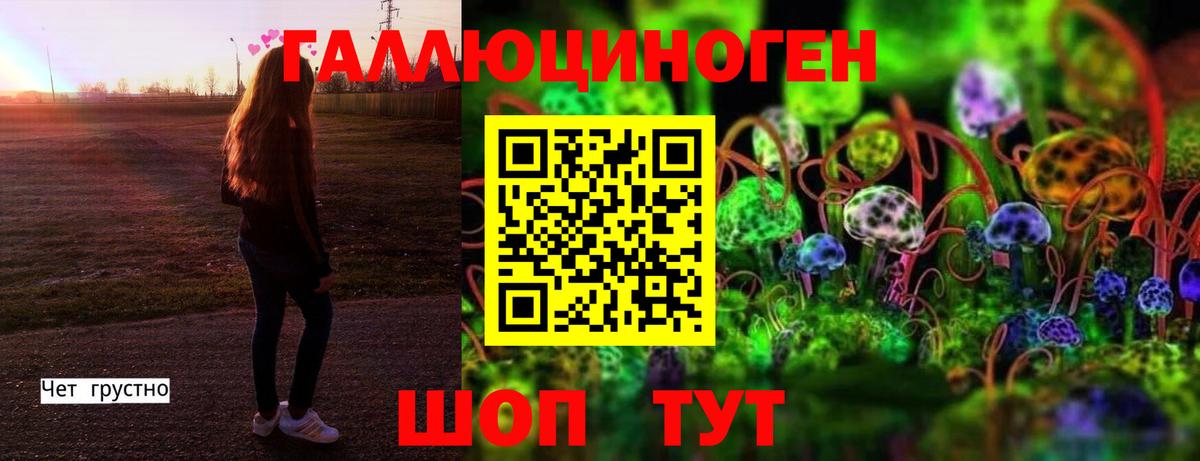 Псилоцибиновые грибы MAGIC MUSHROOMS Видное